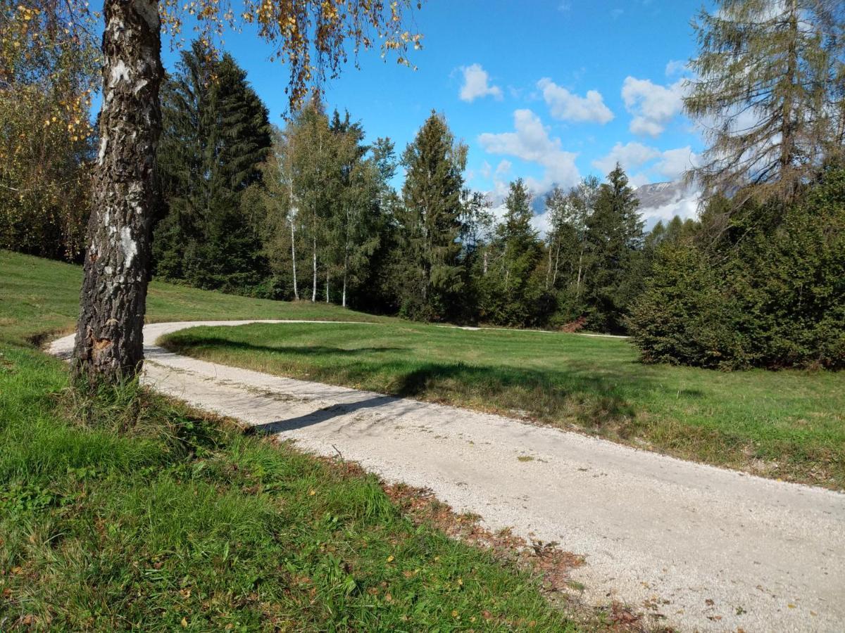 Al Salt Villa Belluno Dış mekan fotoğraf